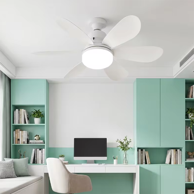 2026 New E26/E27 Screw Mount F - đánh giá và giá Ceiling Fan Mount