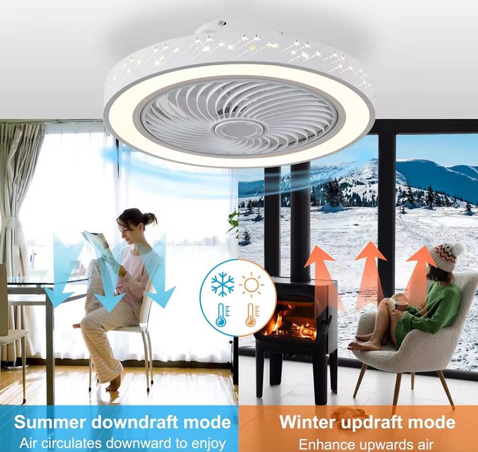 46CM Smart App Ceiling Fan wit - đánh giá và giá Ceiling Fan Mount