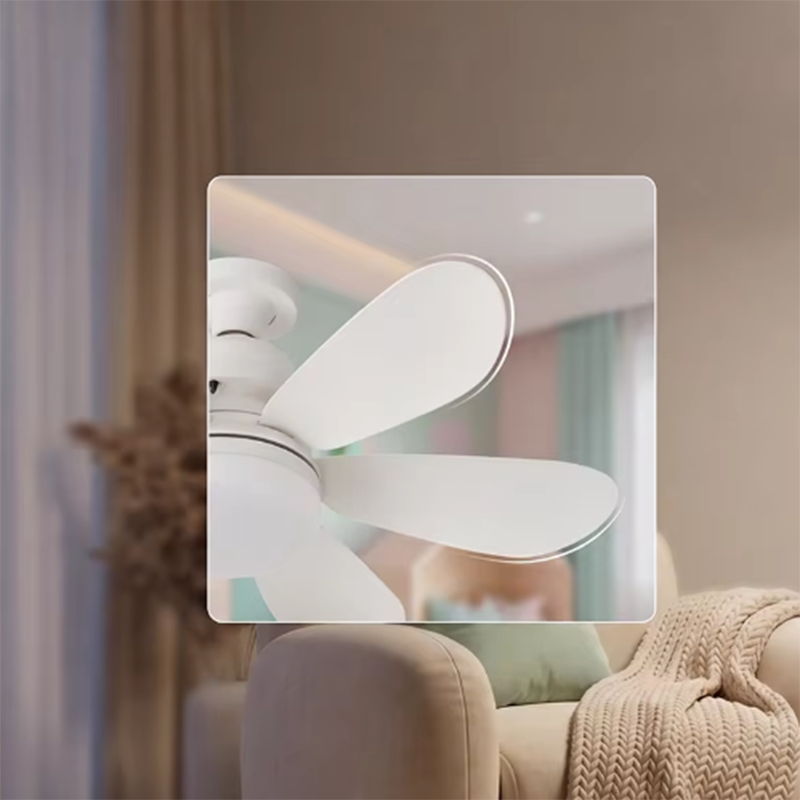 40W E27 LED Ceiling Fan Light  - đánh giá và giá Ceiling Fan Mount