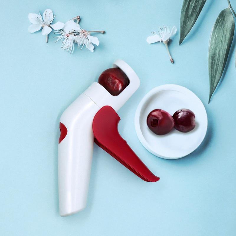 Cherry Red Dates Hawthorn Pitt - đánh giá và giá Home Improvement Tim