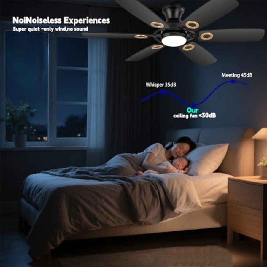 Ceiling Fans with Lights, Blac - đánh giá và giá Ceiling Fan Mount